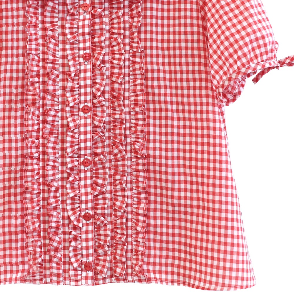 ���󥬥�֥饦�� (Gingham blouse)