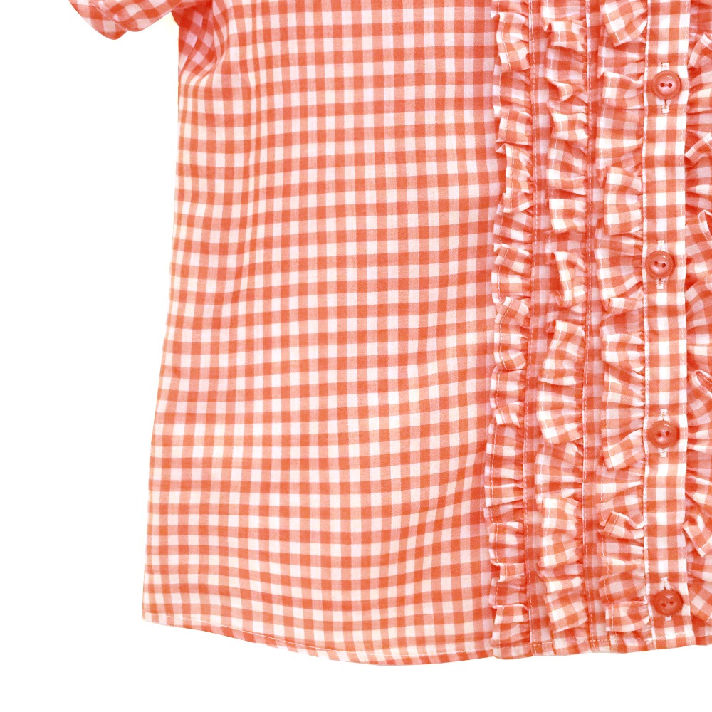 ���󥬥�֥饦�� (Gingham blouse)