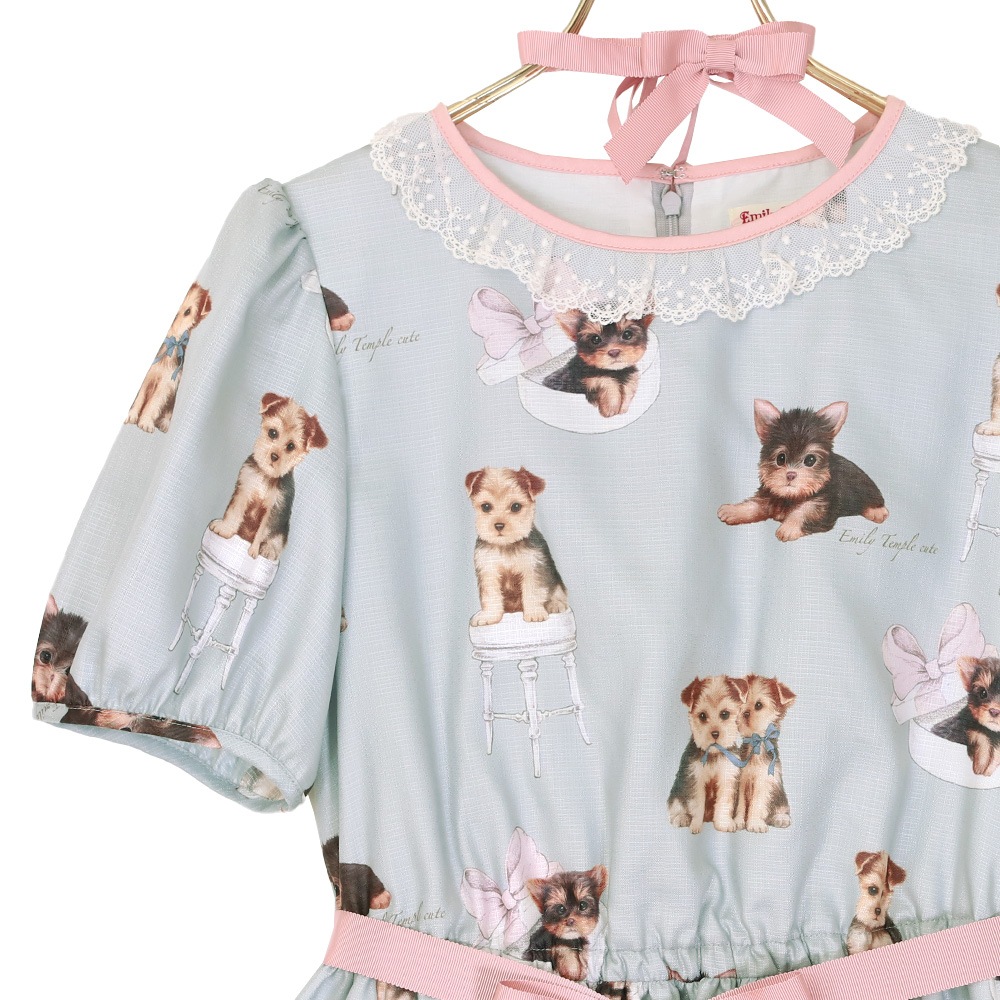 TERRIER ���ԡ��� (TERRIER dress)