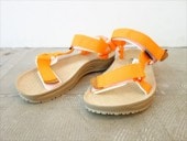 TRIOPȥꥪ/ TERRA ARMY/ 