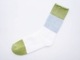 ASEEDONCLOUDɥ󥯥饦/ Seasonal socks (2025SS)
