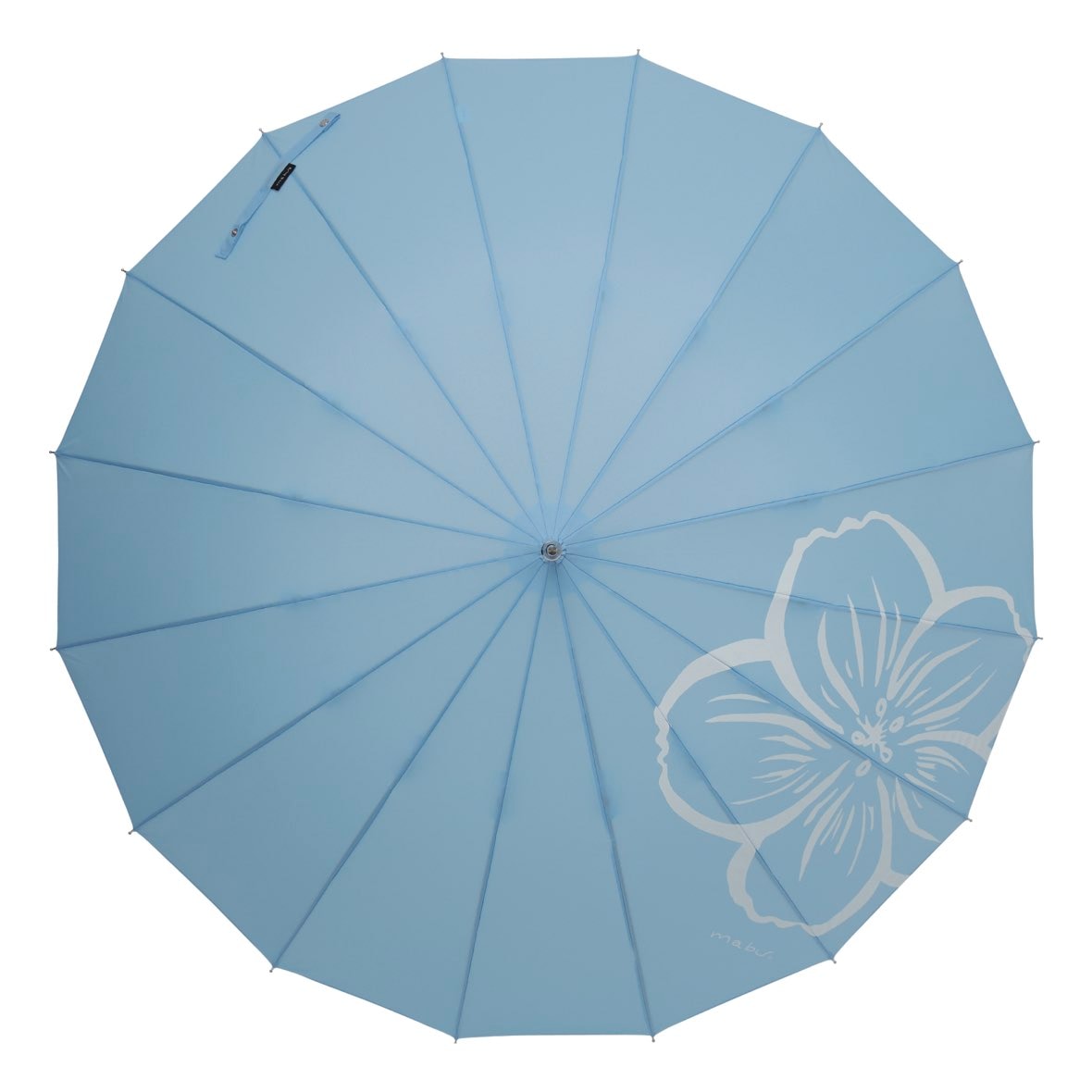 ㈱SMV JAPAN ベーシックジャンプ 16ホン ネモフィラ○○10月11日