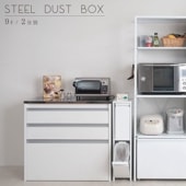 スチール製ダストボックス　9リットルタイプ２分別