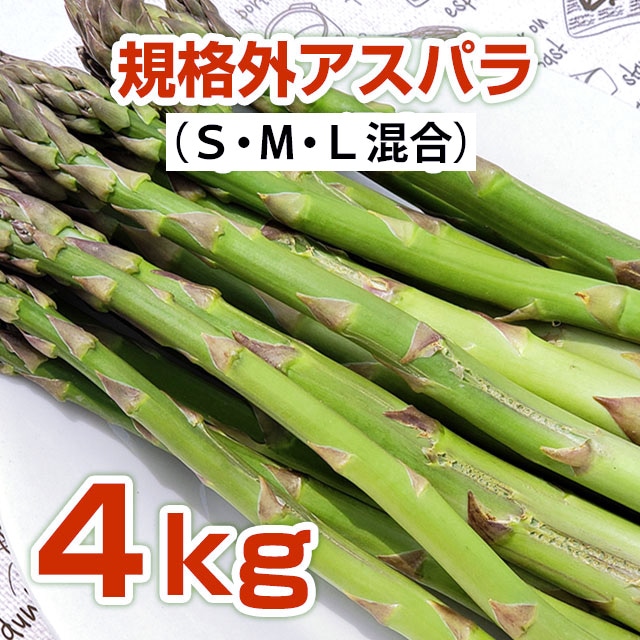 ���ʳ������ѥ�2kg��2Ȣ(S��M��L����)����������