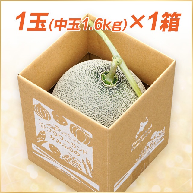 1玉(中玉／1.6kg以上)富良野メロン【送料込】 | 野菜,富良野メロン