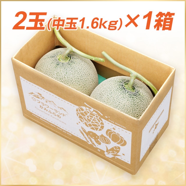 2玉(中玉／1.6kg以上)富良野メロン【送料込】 | 野菜,富良野メロン