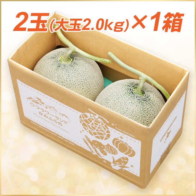 2玉(大玉／2.0kg以上)富良野メロン【送料込】 | 野菜,富良野メロン