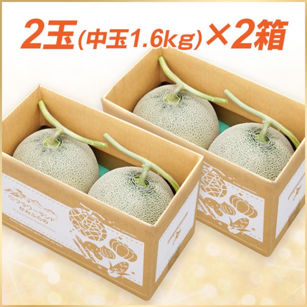 富良野メロン　2箱 2玉×2箱(中玉／1.6kg以上)富良野メロン【送料込】 | 野菜,富良野