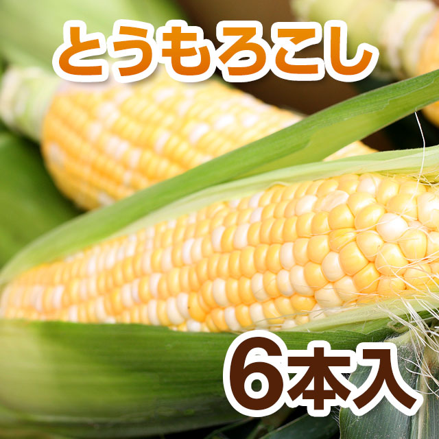 とうもろこし（バイカラーコーン）6本入り【送料込】 | 野菜
