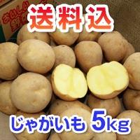 㤬5kg