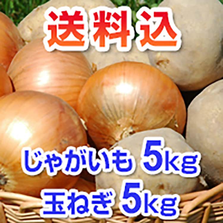 じゃがいも5kg 玉ねぎ5kgセット 送料込 野菜 じゃがいも 玉ねぎ かぼちゃ 発送期間 9月下旬 11月下旬 フラワーランドかみふらの 北海道 産地直送