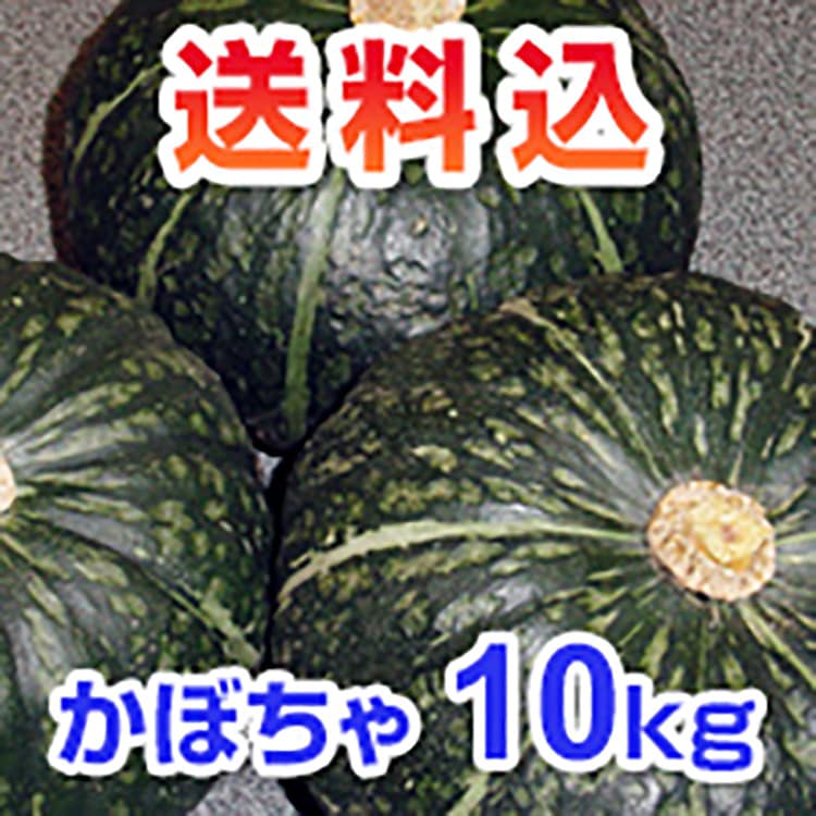 ���ܤ���10kg����������