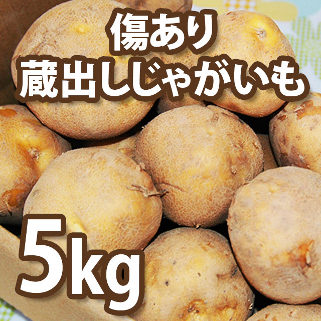 2026年3月～お届け“傷あり”蔵出しじゃがいも 黄爵5kg箱【送料込