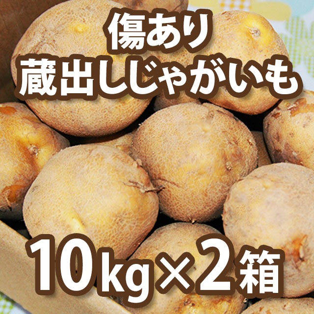 傷あり”蔵出しじゃがいも 黄爵10kg×2箱【送料込】 | 野菜,春の蔵出し
