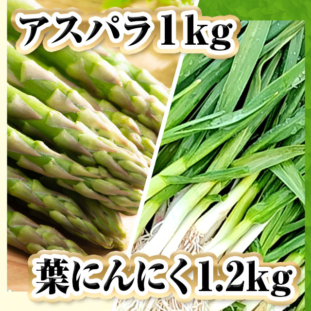アスパラ1kg 幻の野菜 ふらの葉にんにく1 2kg 送料込 野菜 ふらのにんにく フラワーランドかみふらの 北海道 産地直送