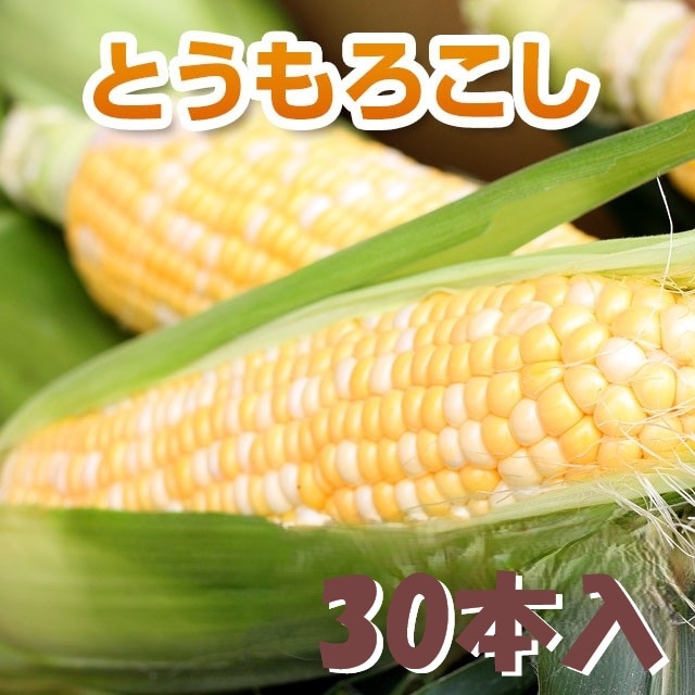 コーン 先行予約】とうもろこし(甘いんですパワー85) 約2.5kg（7～8本