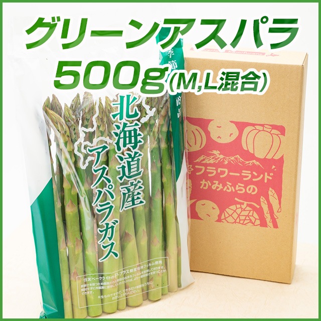 ꡼󥢥ѥ 500g(M-2L)