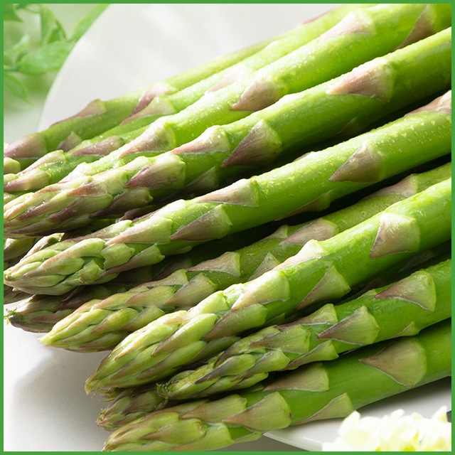 �ޤȤ��㤤�����꡼�󥢥��ѥ�2kg��5Ȣ����������