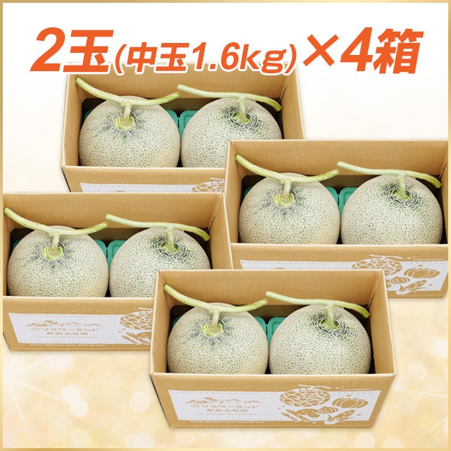 2玉×4箱(中玉／1.6kg以上)富良野メロン【送料込】 | 野菜,富良野