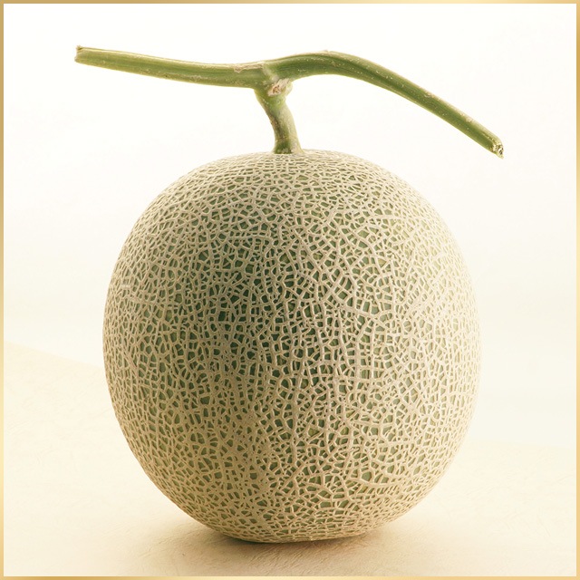 2�̡�4Ȣ(��̡�1.6kg�ʾ�)�������������������