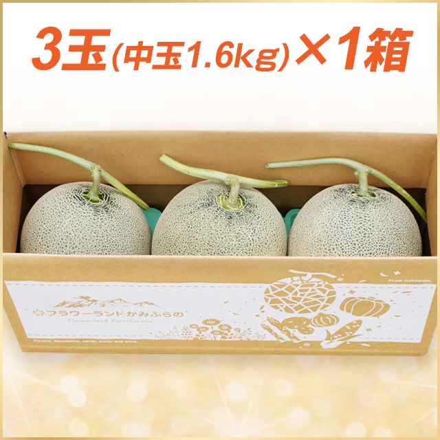 3(̡1.6kgʾ)