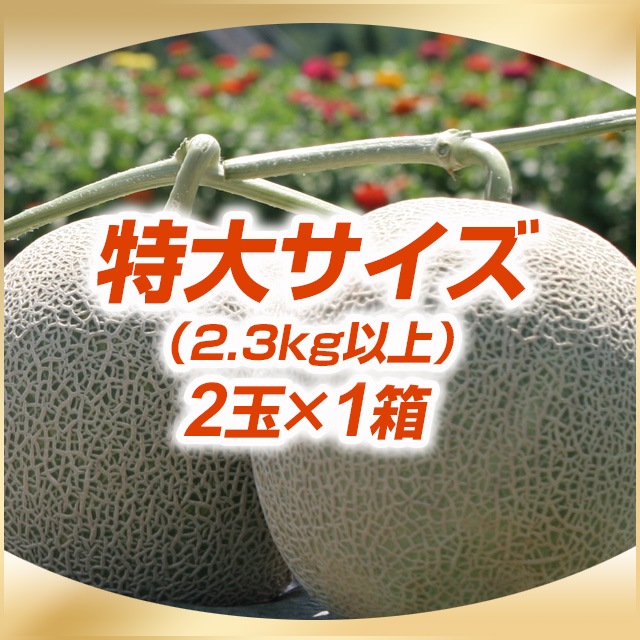 2(硿2.3kgʾ)