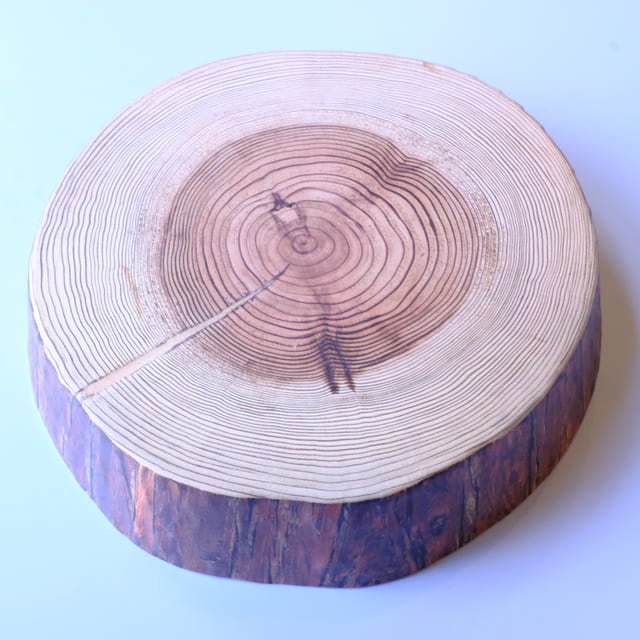 ランバートランク24