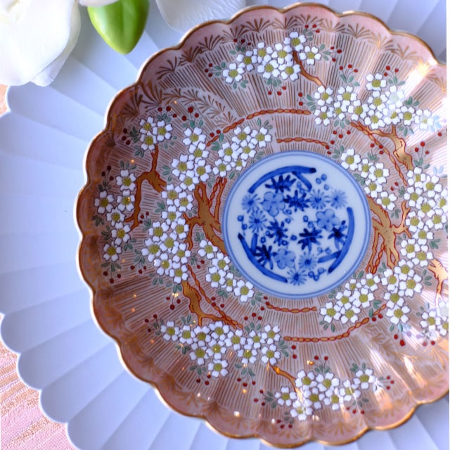 波佐見焼　琳派桜樹紋　6号皿