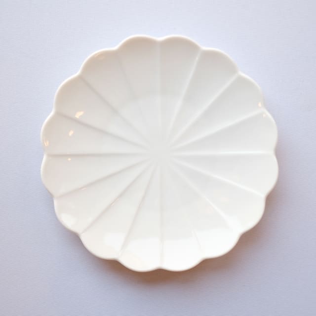 言花 17皿 福寿草 白