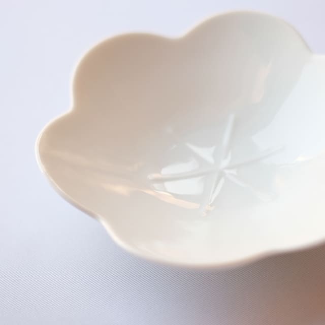 言花 16cm 鉢 黄梅 白
