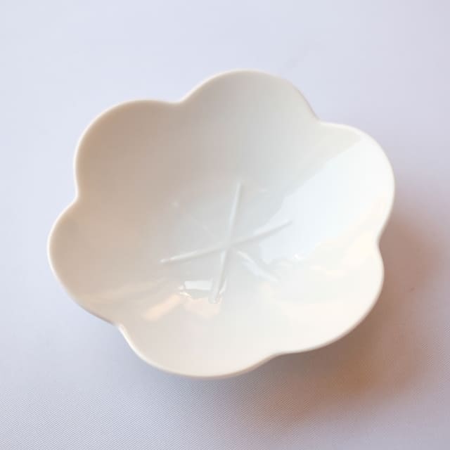 言花 16cm 鉢 黄梅 白