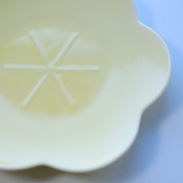 言花  17cm皿 黄梅 薄黄