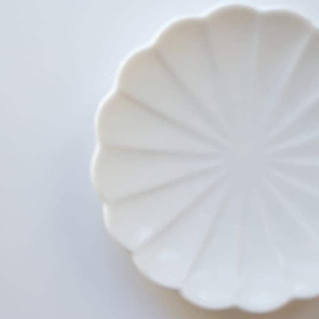 言花  11ｃｍ　小皿 福寿草 白