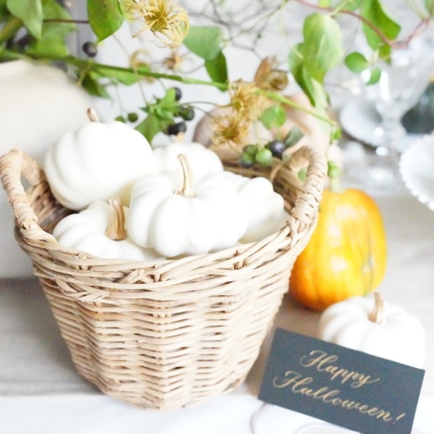 FAU SHINY PUMPKIN 業務用セットかぼちゃピールパンプキンピール FAU SHINY PUMPKIN 業務用セットかぼちゃピールパンプキンピール