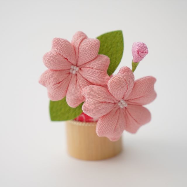 桜橘　(木製丸台)