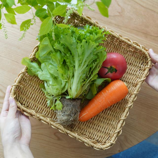 洗えるザル スクエア Lサイズ