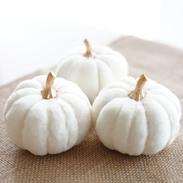 ファブリックパンプキンアソートS　クリーム　3個セット