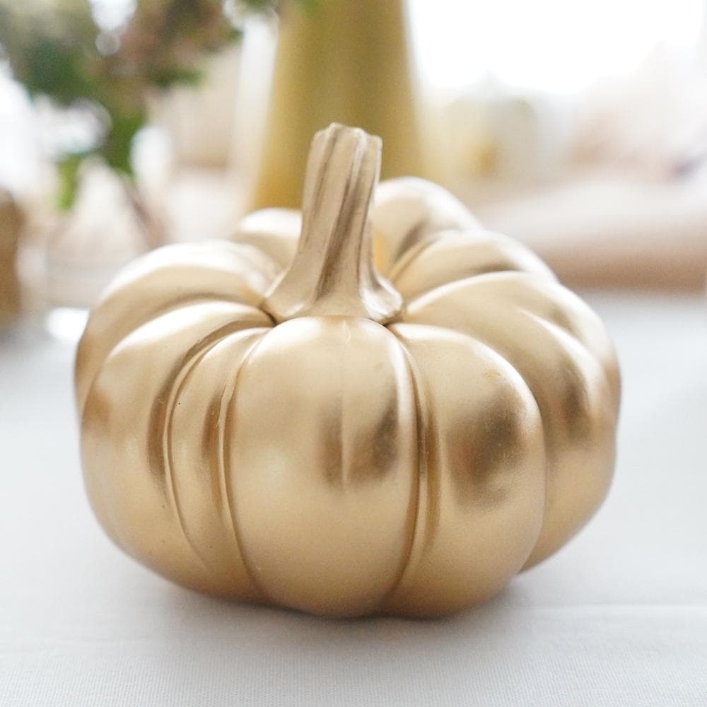 ゴールドパンプキンB