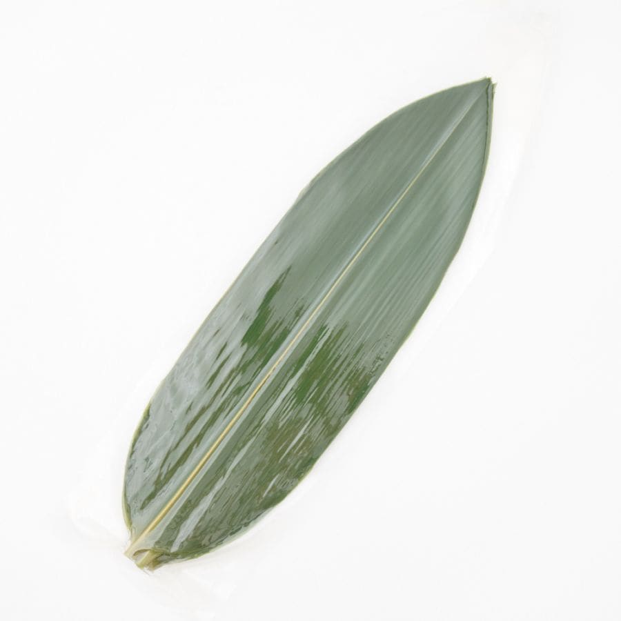 青笹（M)　20枚入り