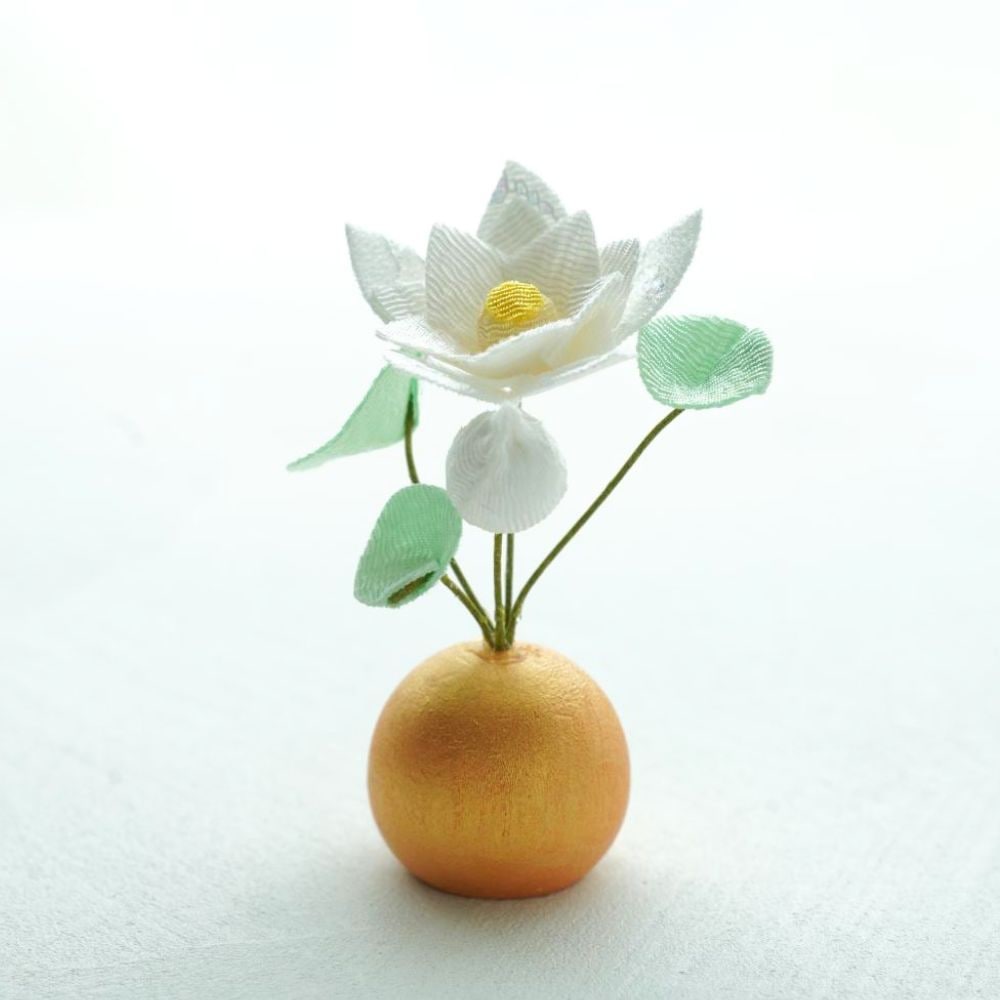 春節祭　蓮花シャー太翠バングル　極薄 ちりめん白蓮華 ｜ 四季折々のおしゃれな和食器通販サイト FOURGRACE