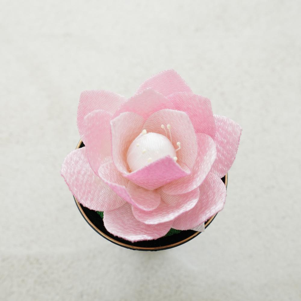 ちりめん蓮華　たかつき飾り