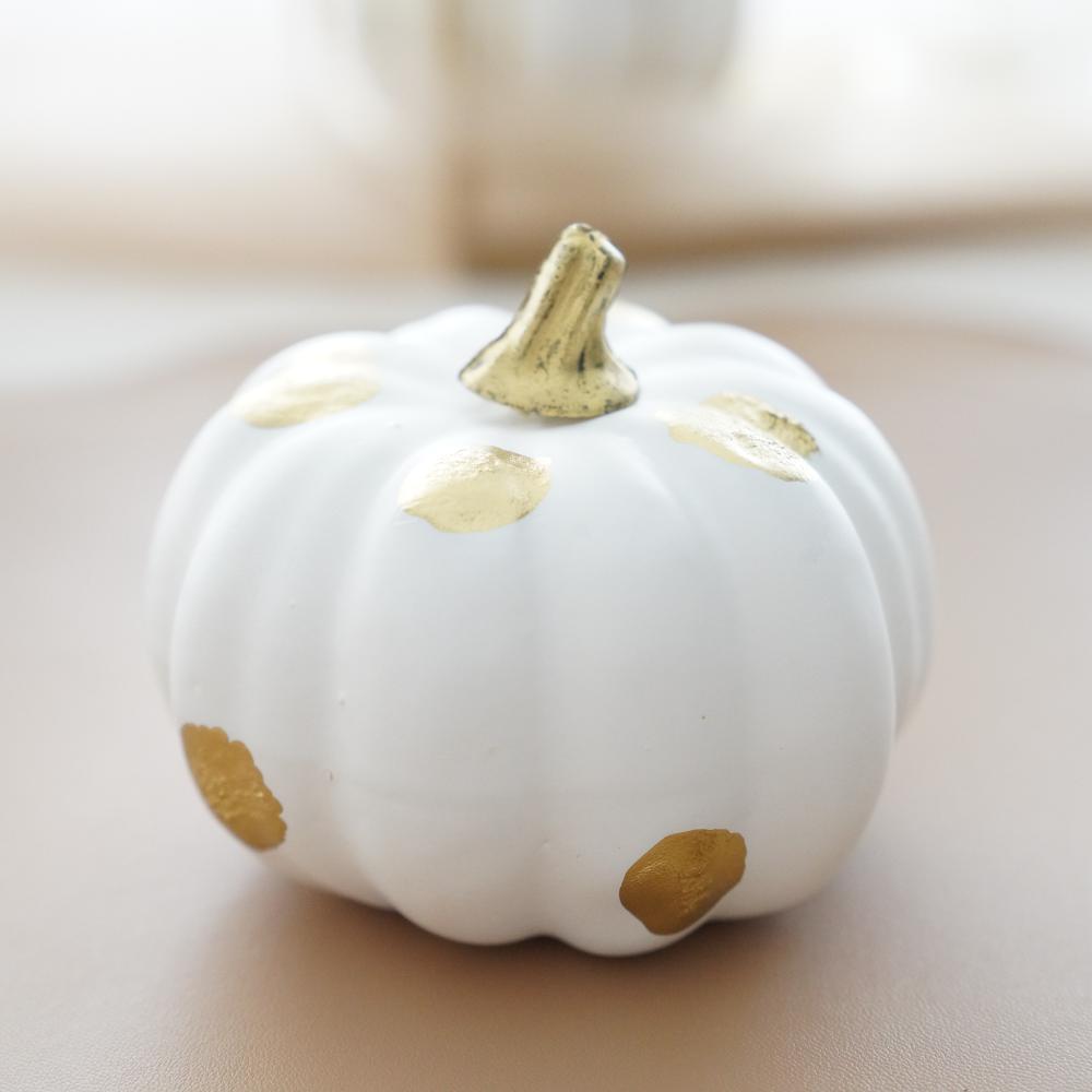 《4点セット》ゴールドライン＆ドットパンプキン FOURGRACEオリジナル