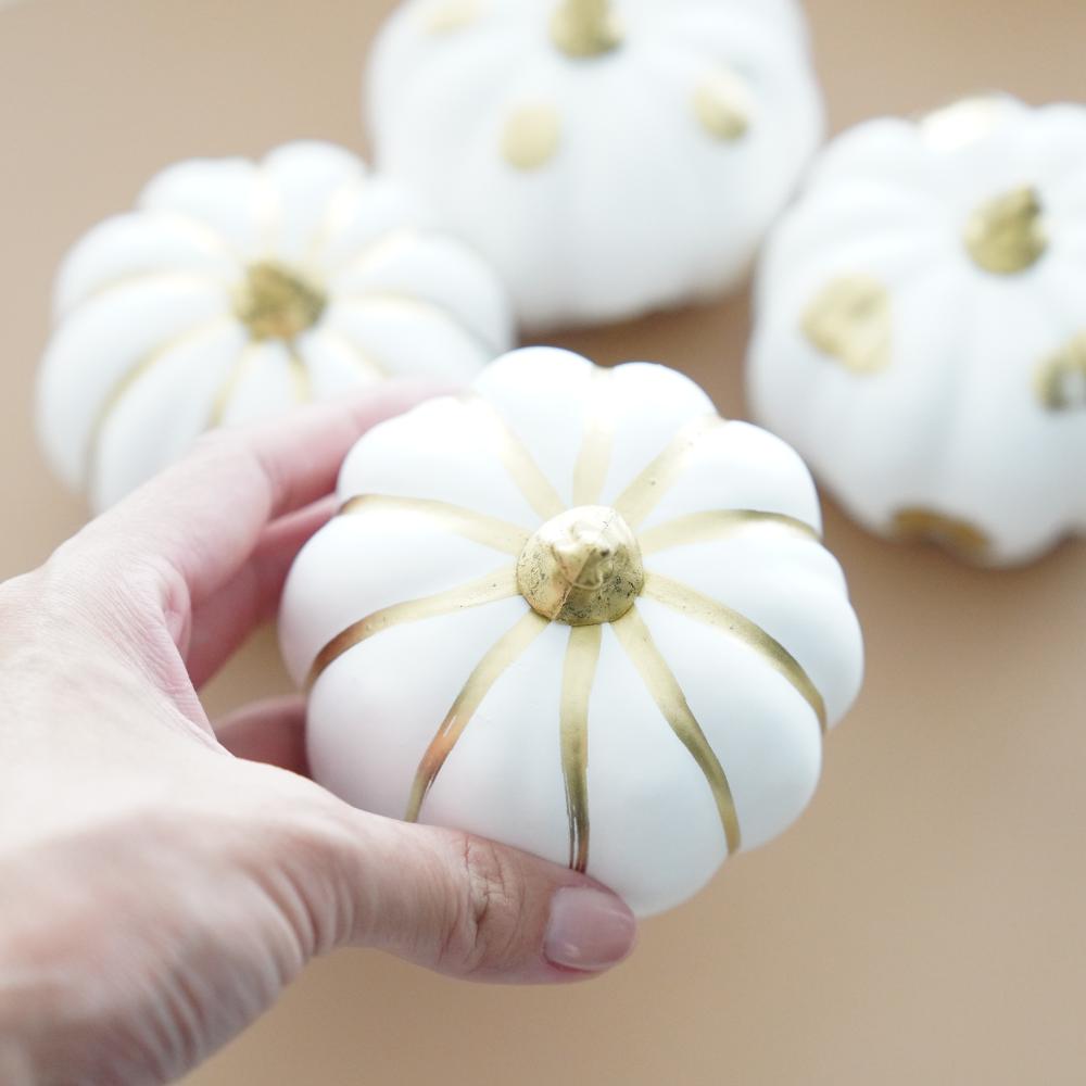 《4点セット》ゴールドライン＆ドットパンプキン FOURGRACEオリジナル