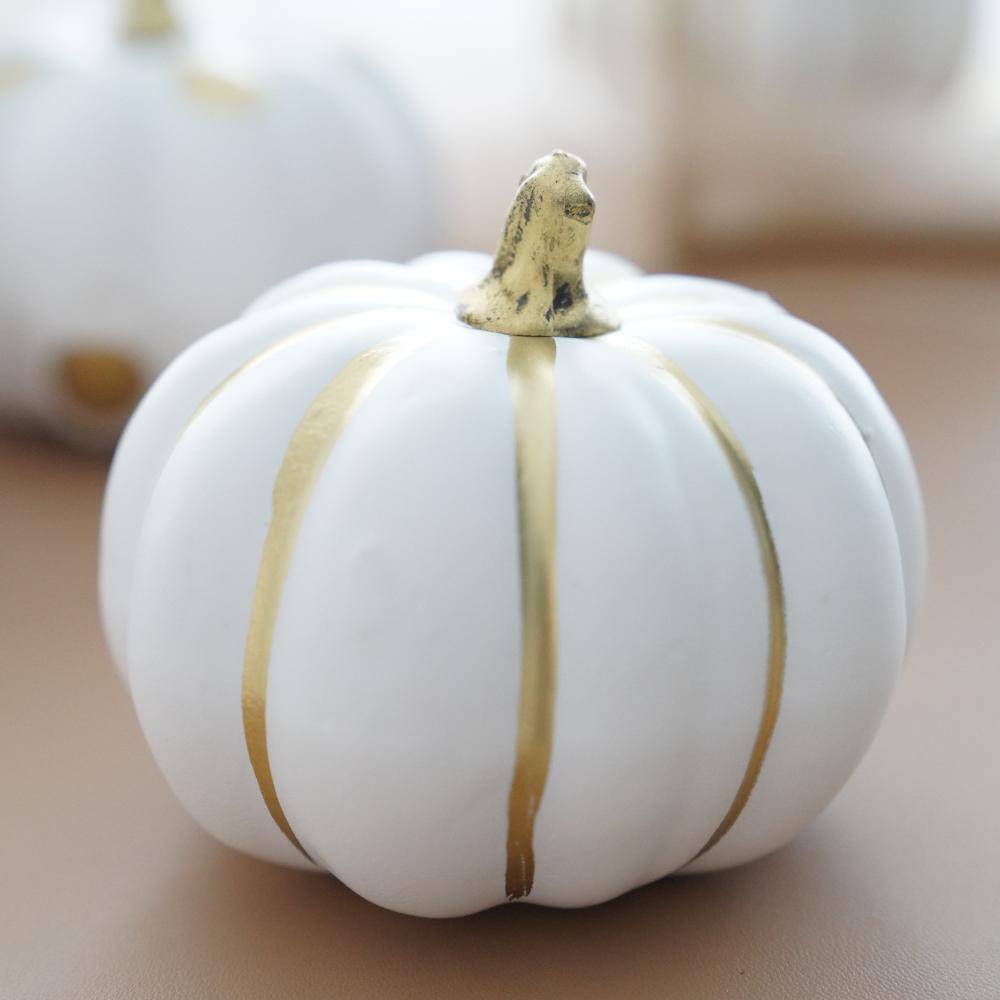 《4点セット》ゴールドライン＆ドットパンプキン FOURGRACEオリジナル