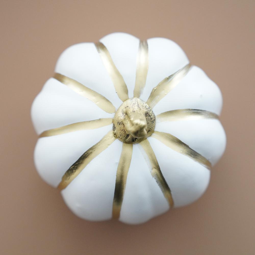 《4点セット》ゴールドライン＆ドットパンプキン FOURGRACEオリジナル