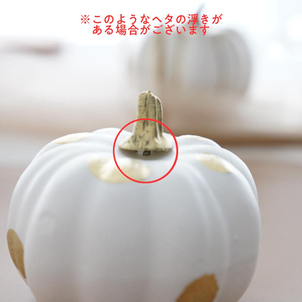 《4点セット》ゴールドライン＆ドットパンプキン FOURGRACEオリジナル