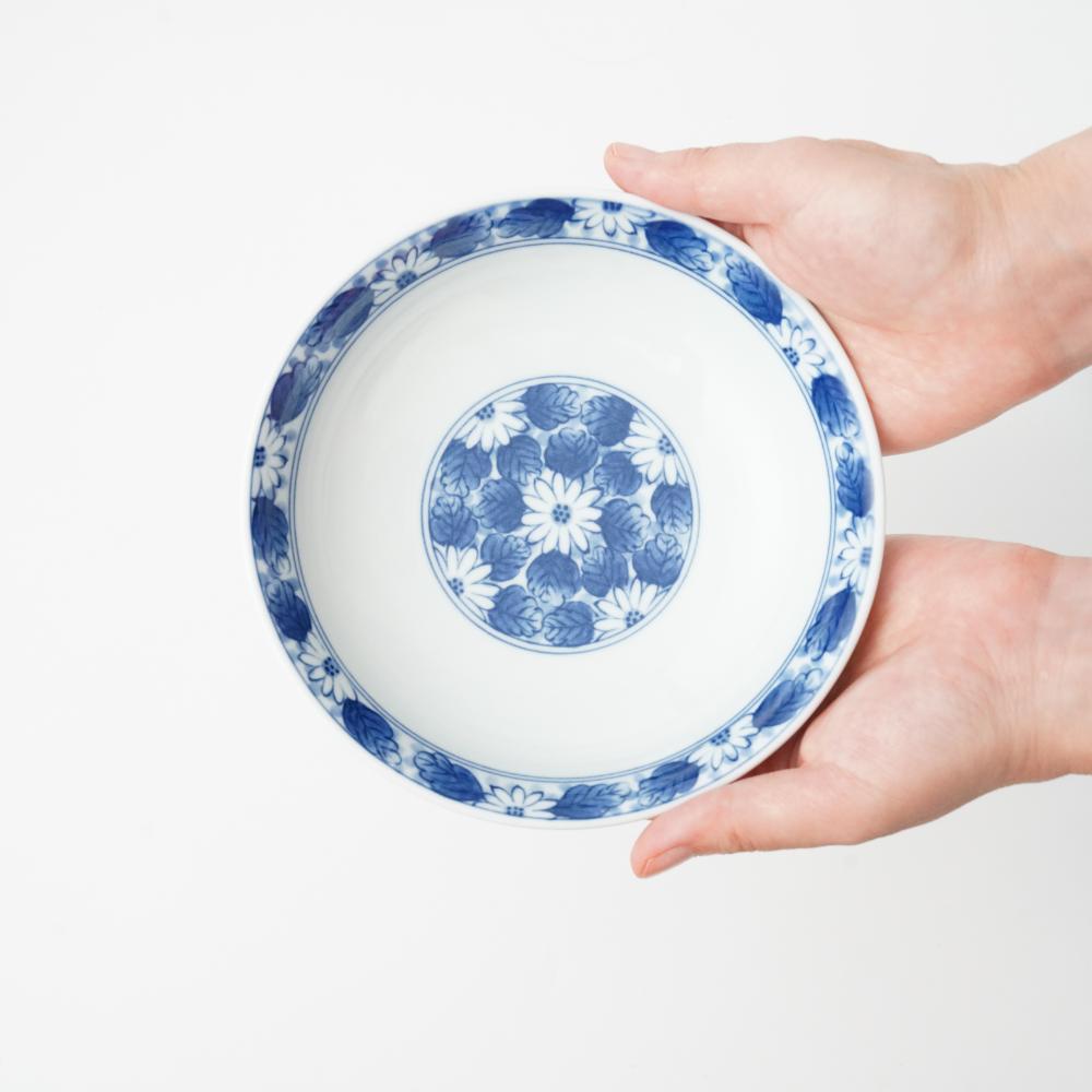 波佐見焼　淡菊　深皿揃（5枚セット）