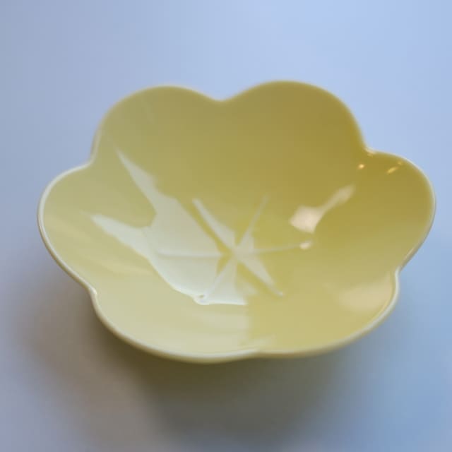 言花 16cm 鉢 黄梅 薄黄