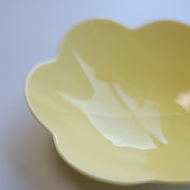 言花 16cm 鉢 黄梅 薄黄