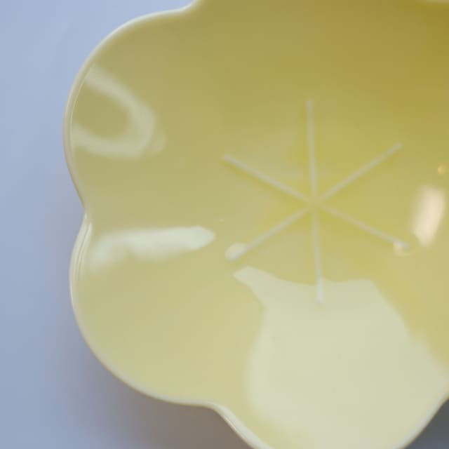言花 16cm 鉢 黄梅 薄黄